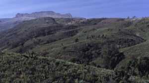 Mt Elgon panorama copia