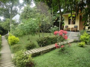 ruboni community camp rwenzori