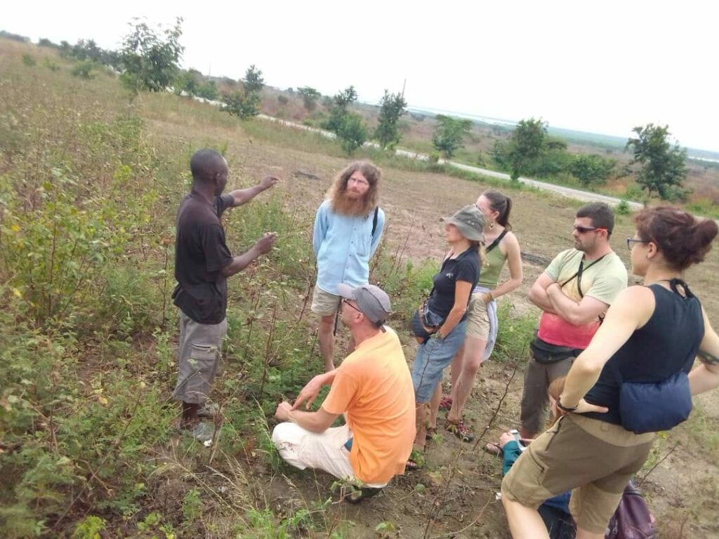 community activities