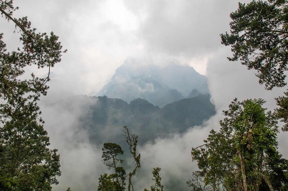 Rwenzori overnight trek