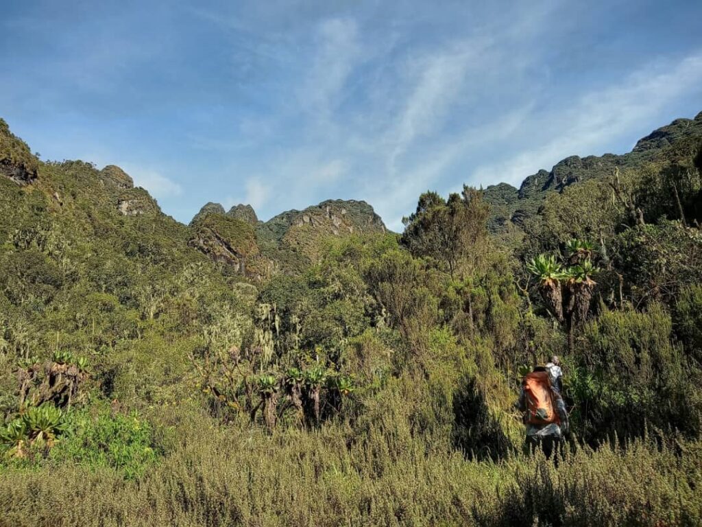 Rwenzori trek