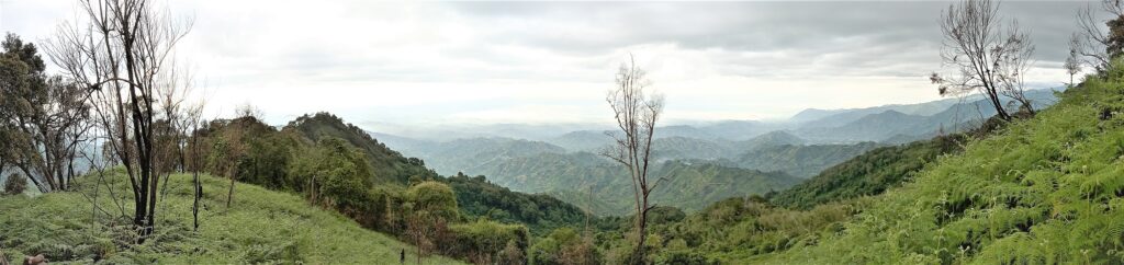Rwenzori mountain trek