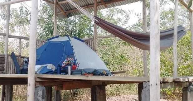 The elephant home